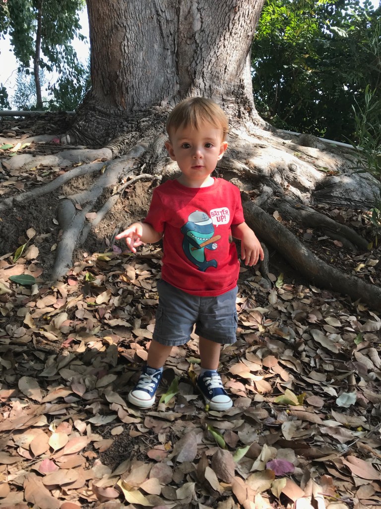 toddler boy with converse shoes standing by tree outside