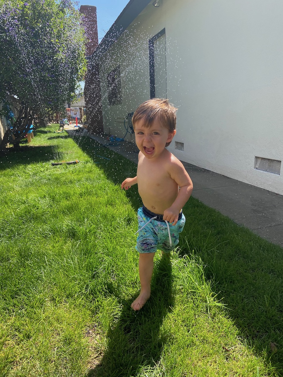 Small Joys in Quarantine Pt. 1