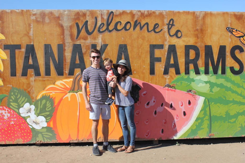 10 Simple, Fun Fall Activities with a&nbsp;Toddler