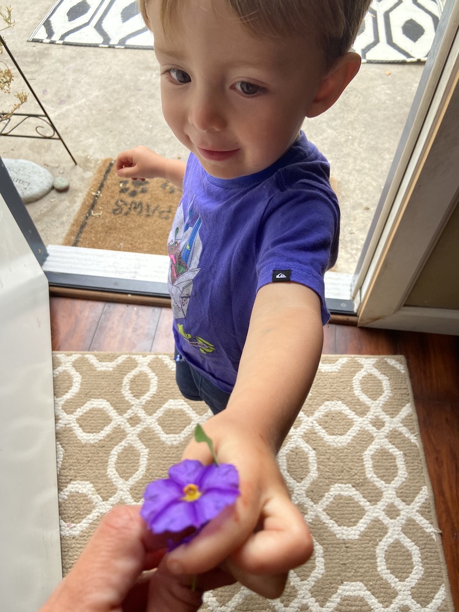 Week of Play: The Color Purple